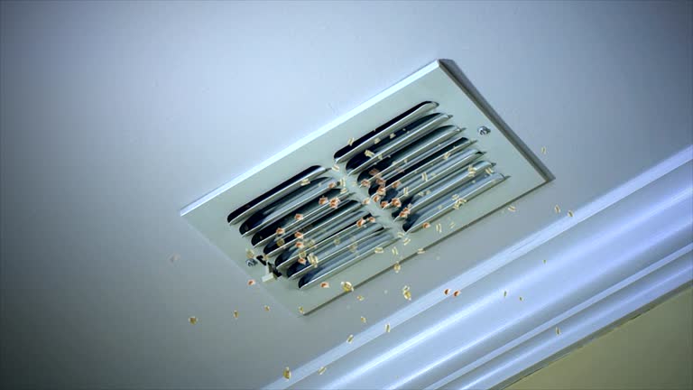 Best HVAC Maintenance and Cleaning  in Montgomery, MN