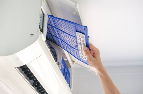 Best HVAC Air Duct Cleaning  in Montgomery, MN