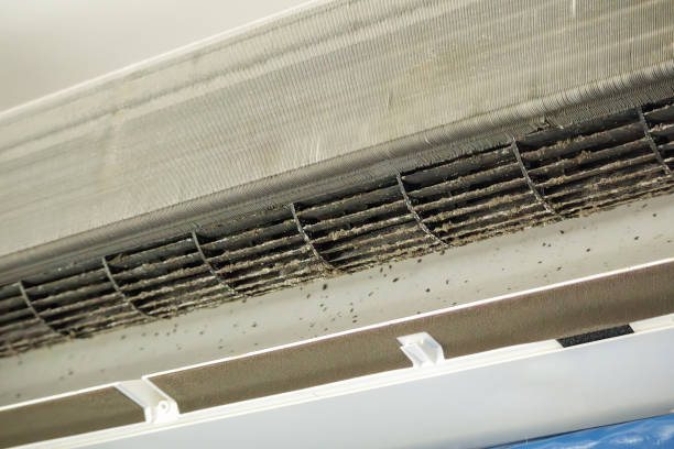 Best Air Duct Cleaning Near Me in MN