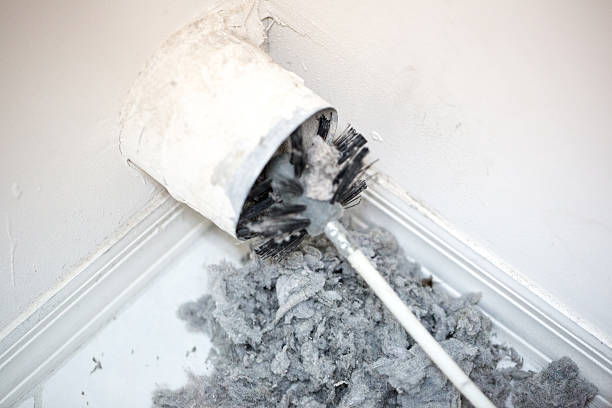 Best Home Air Vent Cleaning  in Montgomery, MN
