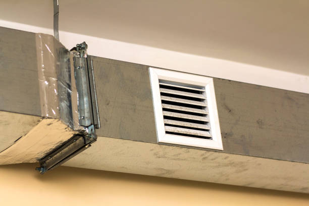 Best Professional Duct Cleaning Services  in Montgomery, MN